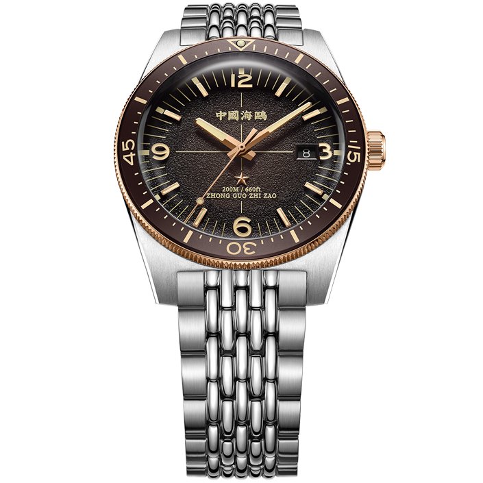 【Seagull Watch】1984 Antarctic Expedition Vintage Diving Watch Ice Rock Brown