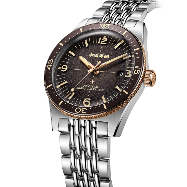 【Seagull Watch】1984 Antarctic Expedition Vintage Diving Watch Ice Rock Brown