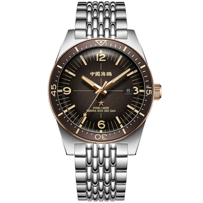 【Seagull Watch】1984 Antarctic Expedition Vintage Diving Watch Ice Rock Brown