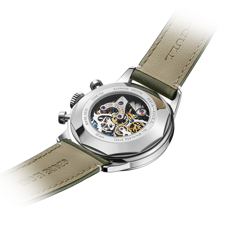 【Seagull Watch】Chase the Wind -- Rainforest