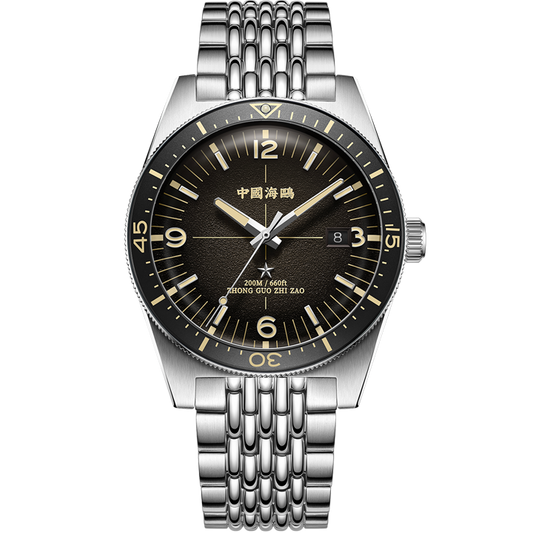 【Seagull Watch】1984 Antarctic Expedition Vintage Diving Watch Polar Black