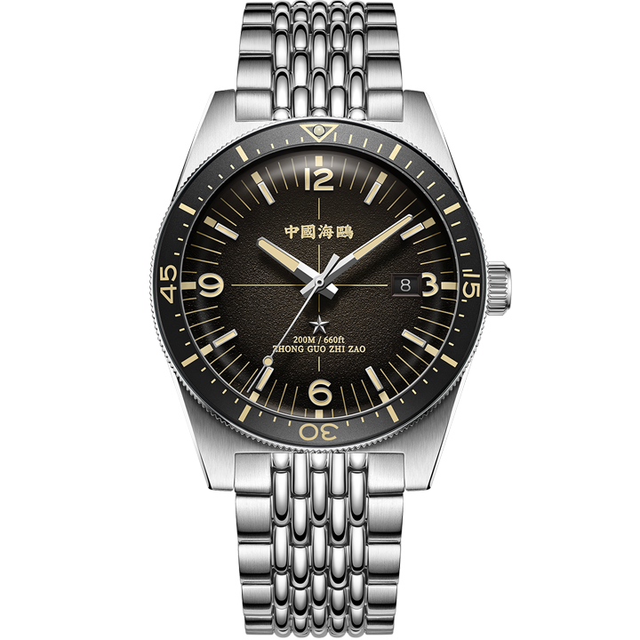 【Seagull Watch】1984 Antarctic Expedition Vintage Diving Watch Ice Rock Brown